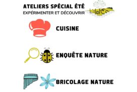 Les ateliers de L'îlotCo ! - ados, enfants, adultes -